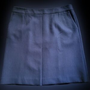 LOFT Classic Brown Mini Skirt